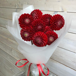 9 красных георгин